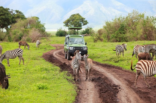 2 days Tanzania safari to Tarangire and Ngorongoro Crater for 2024 and 2025