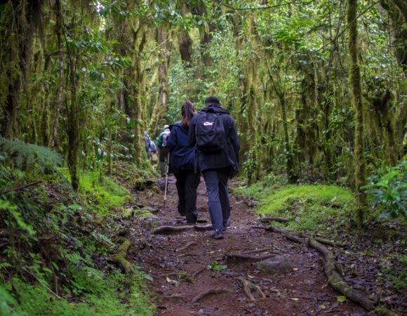 8-Day The Ultimate Kilimanjaro Trek Machame Route Challenge