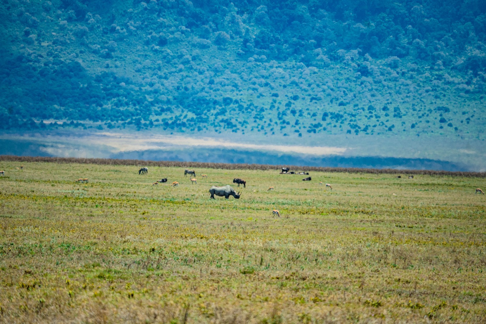 2-Days Safari to Tarangire & Ngorongoro with Ngare Lodge Accommodation