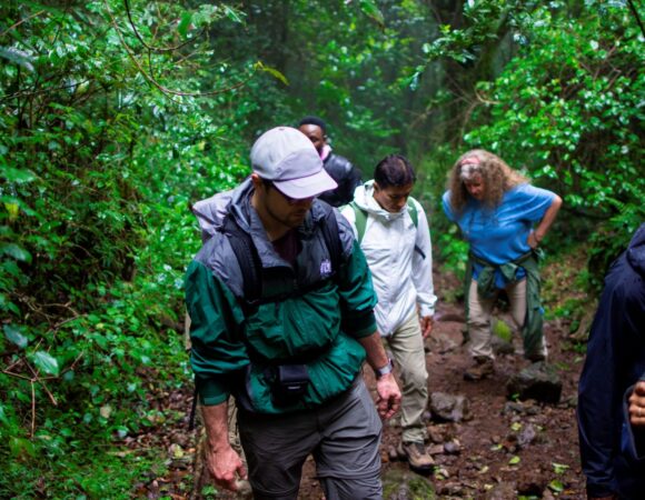 Frequently Asked Questions About Climbing Mount Kilimanjaro