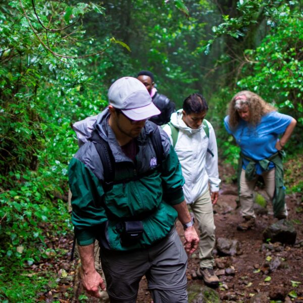 Frequently Asked Questions About Climbing Mount Kilimanjaro