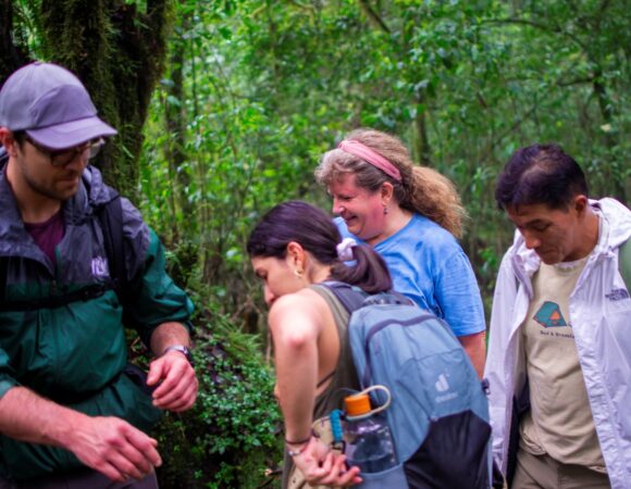 How to Prepare for Climbing Mount Kilimanjaro: A Complete Guide