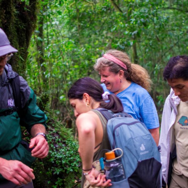 How to Prepare for Climbing Mount Kilimanjaro: A Complete Guide