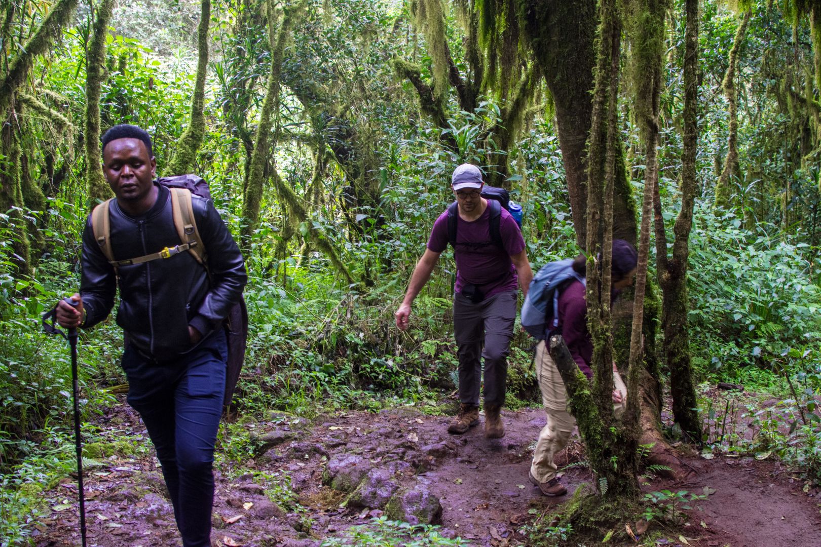 Mount Kilimanjaro’s Best Guides Meet the Experts Behind Serengeti Wildlife Safaris