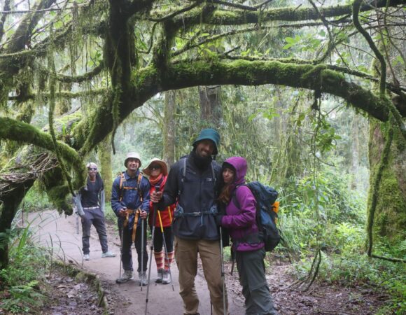 The Dedicated Kilimanjaro Crew Ensuring Your Success with Serengeti Wildlife Safaris in 2025/2026