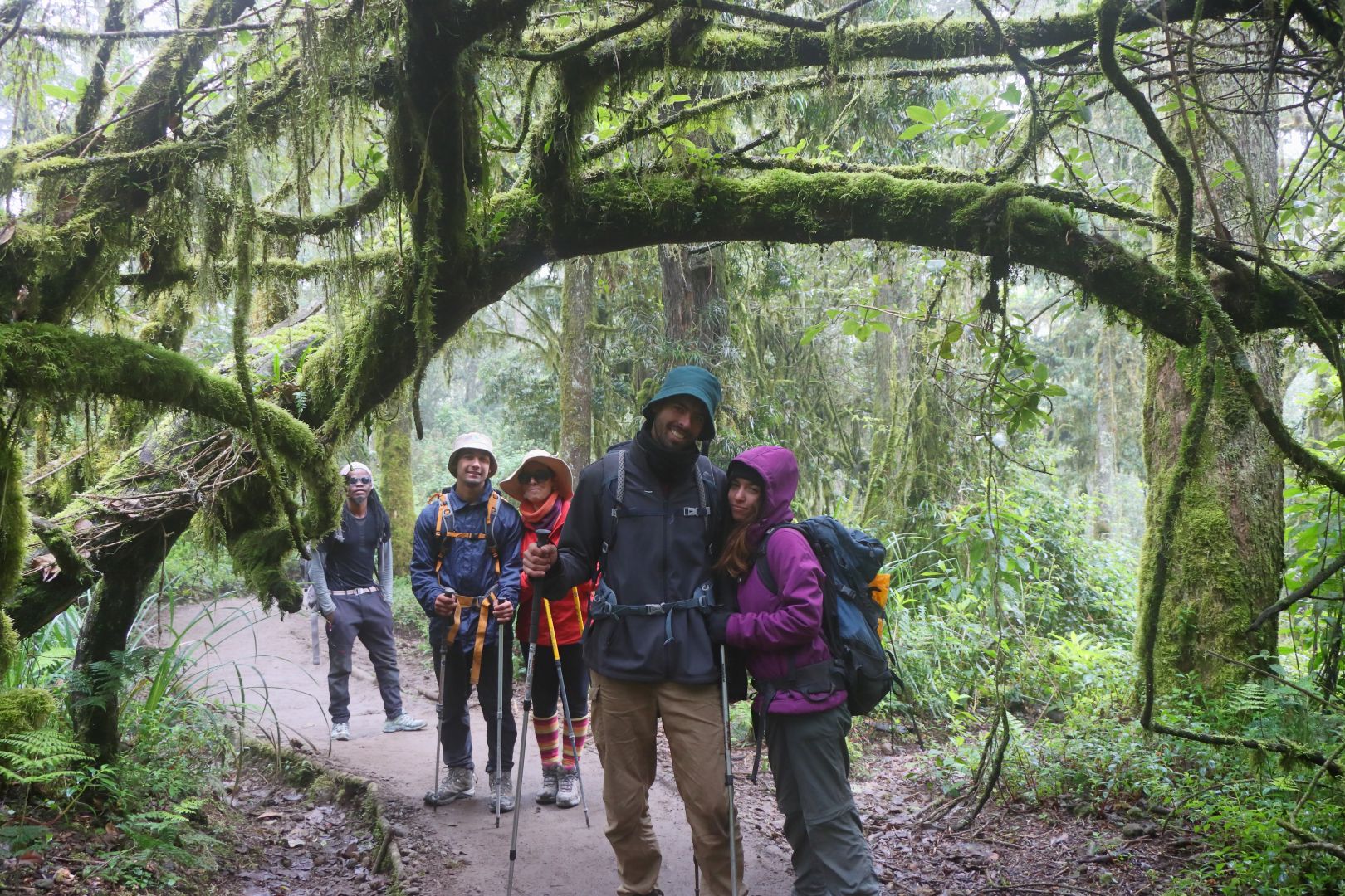 The Dedicated Kilimanjaro Crew Ensuring Your Success with Serengeti Wildlife Safaris