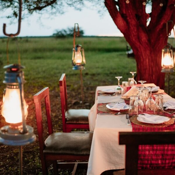 Dining Table Under The Tree