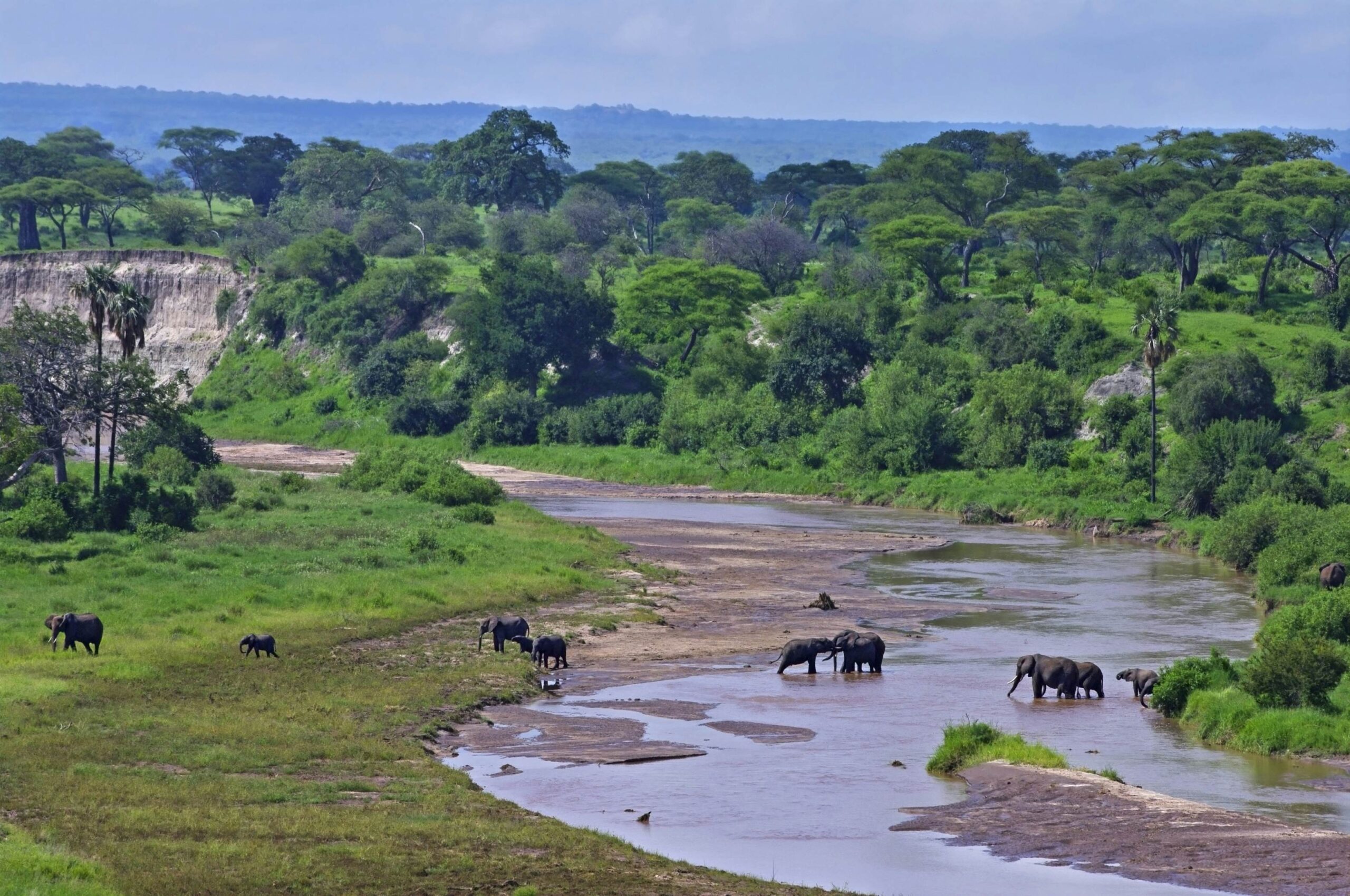 125f1fd9b0b8b37195668a356e6a22a7-tarangire-national-park