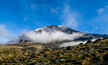 3 day joining safari