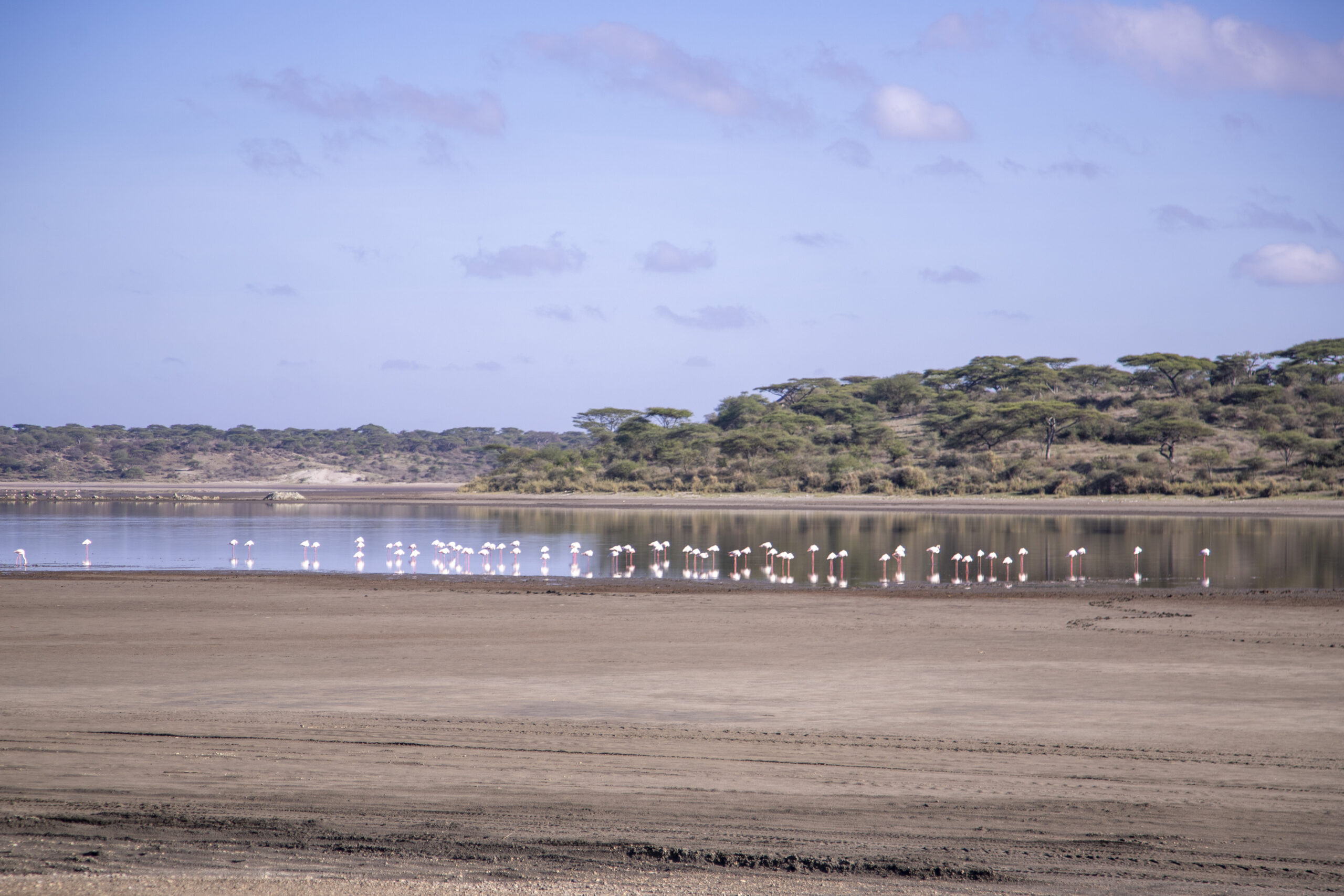 6 day tanzania safari