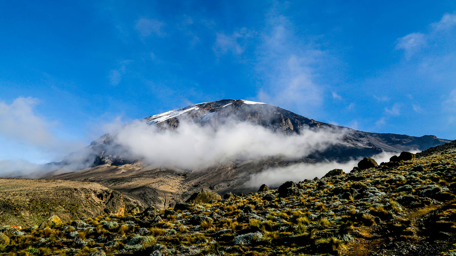 8-days-cocacola-route-marangu