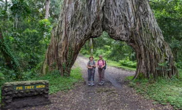 Serengeti wildlife safari 8-day great migration luxury safari Tree Arch
