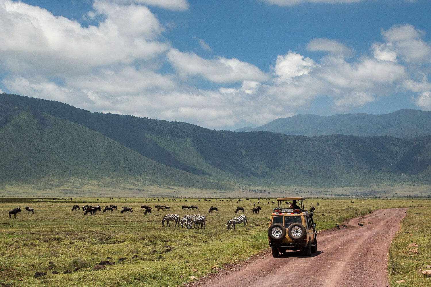Game-drive-in-Ngorongoro