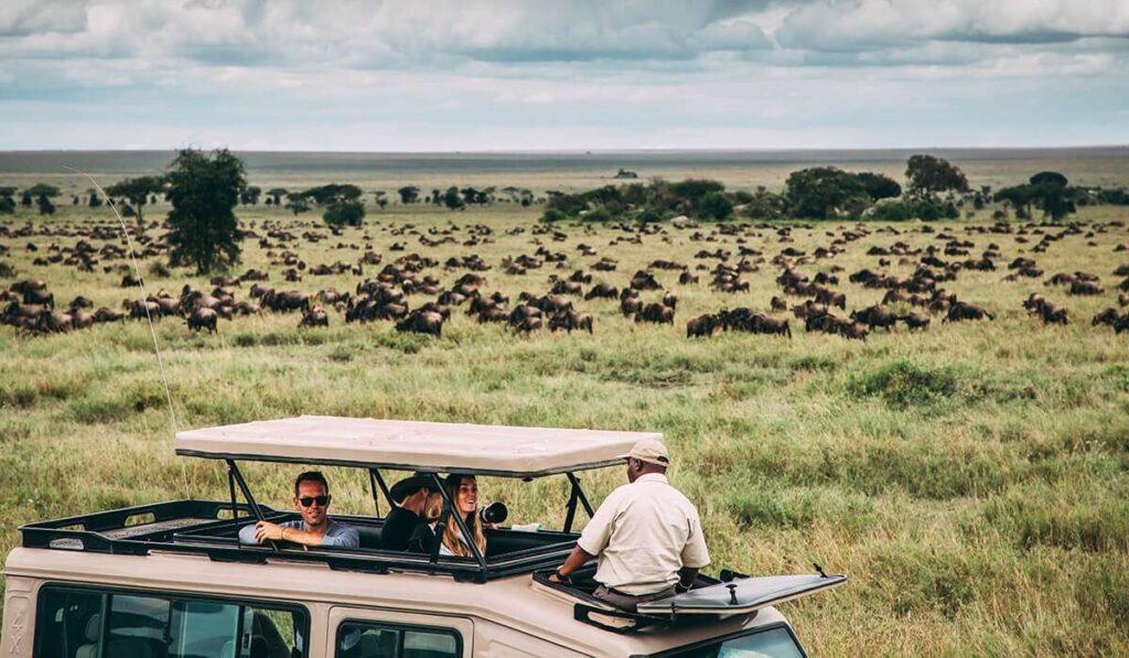 Serengeti migration safari