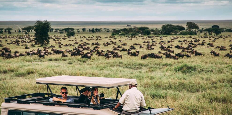 Serengeti migration safari