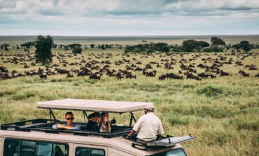 Serengeti migration safari