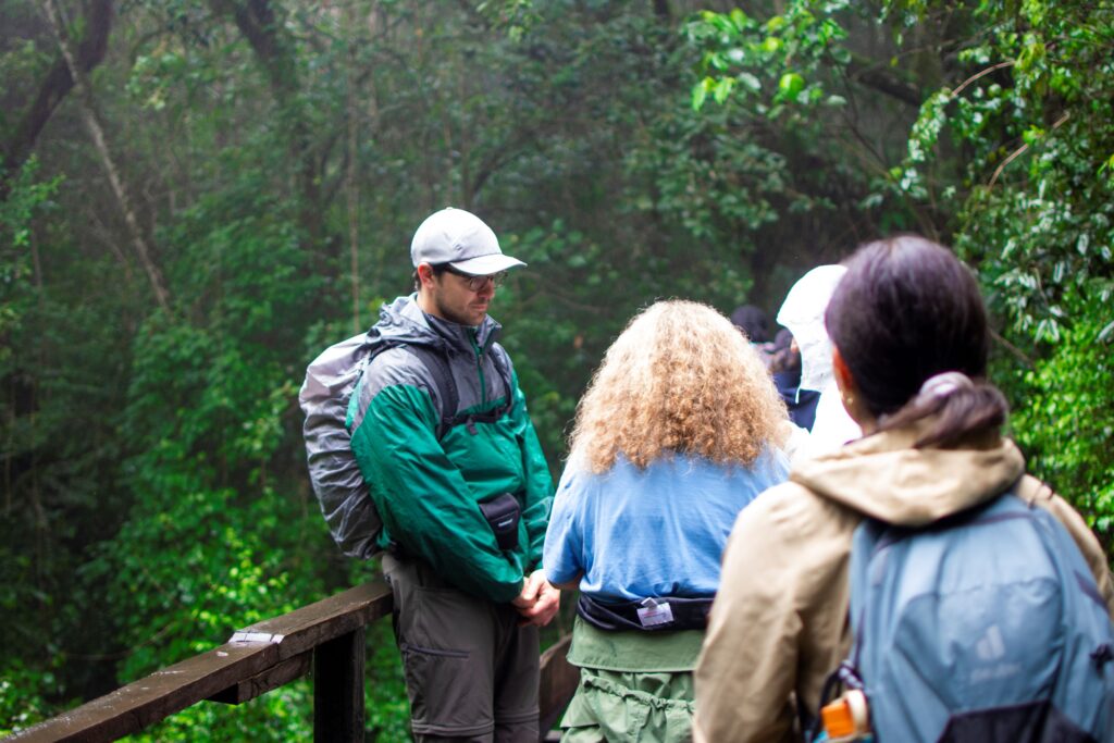 mount kilimanjaro climbing route