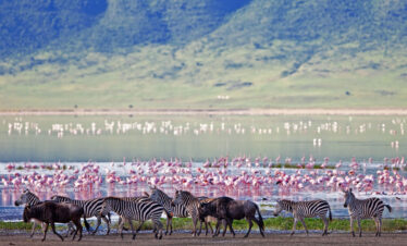 ngorongoro crater Tanzania Budget Safari with serengeti wildlife safaris