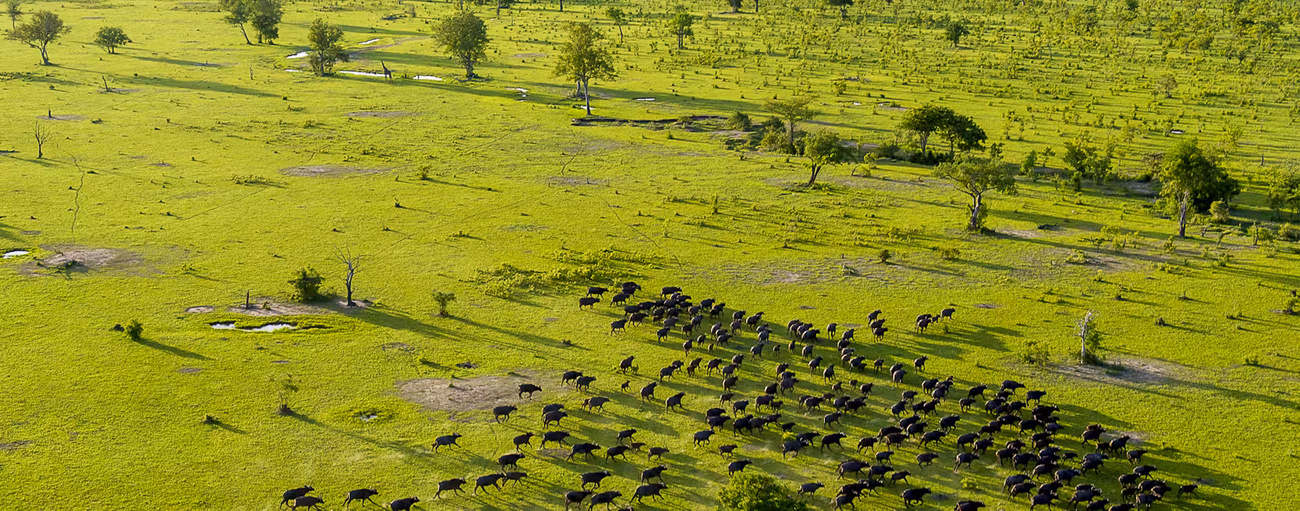 roho-ya-selous-selous-game-reserve-tanzania-20