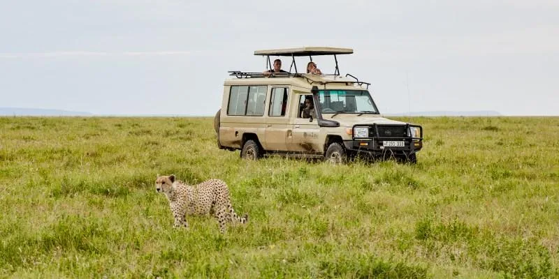 serengeti-wildlife-safaris-15