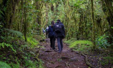 climbing mount Kilimanjaro via Serengeti wildlife safaris