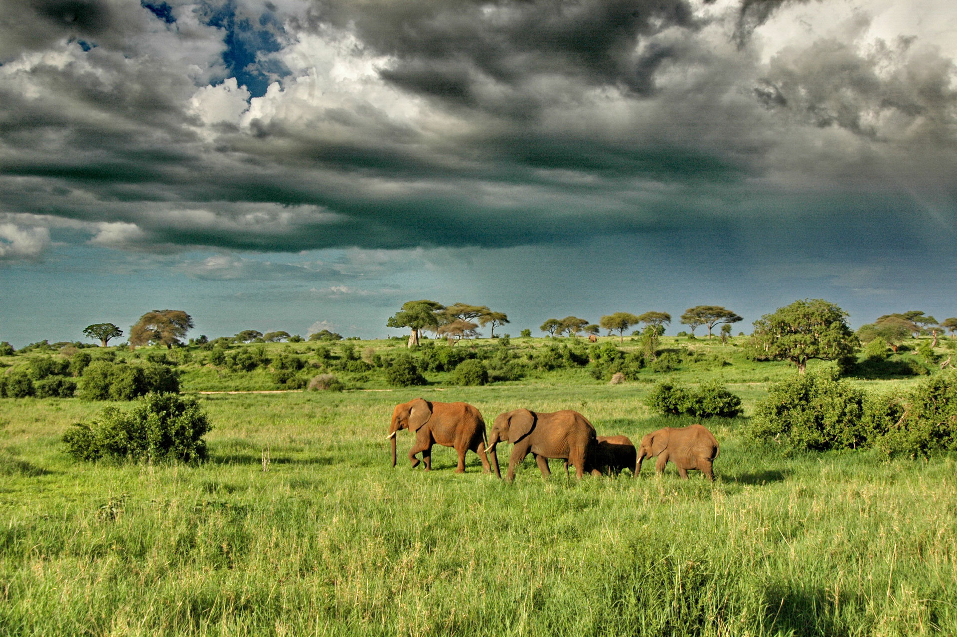 tarangire-3-1920×1280