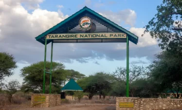 Tarangire Gate