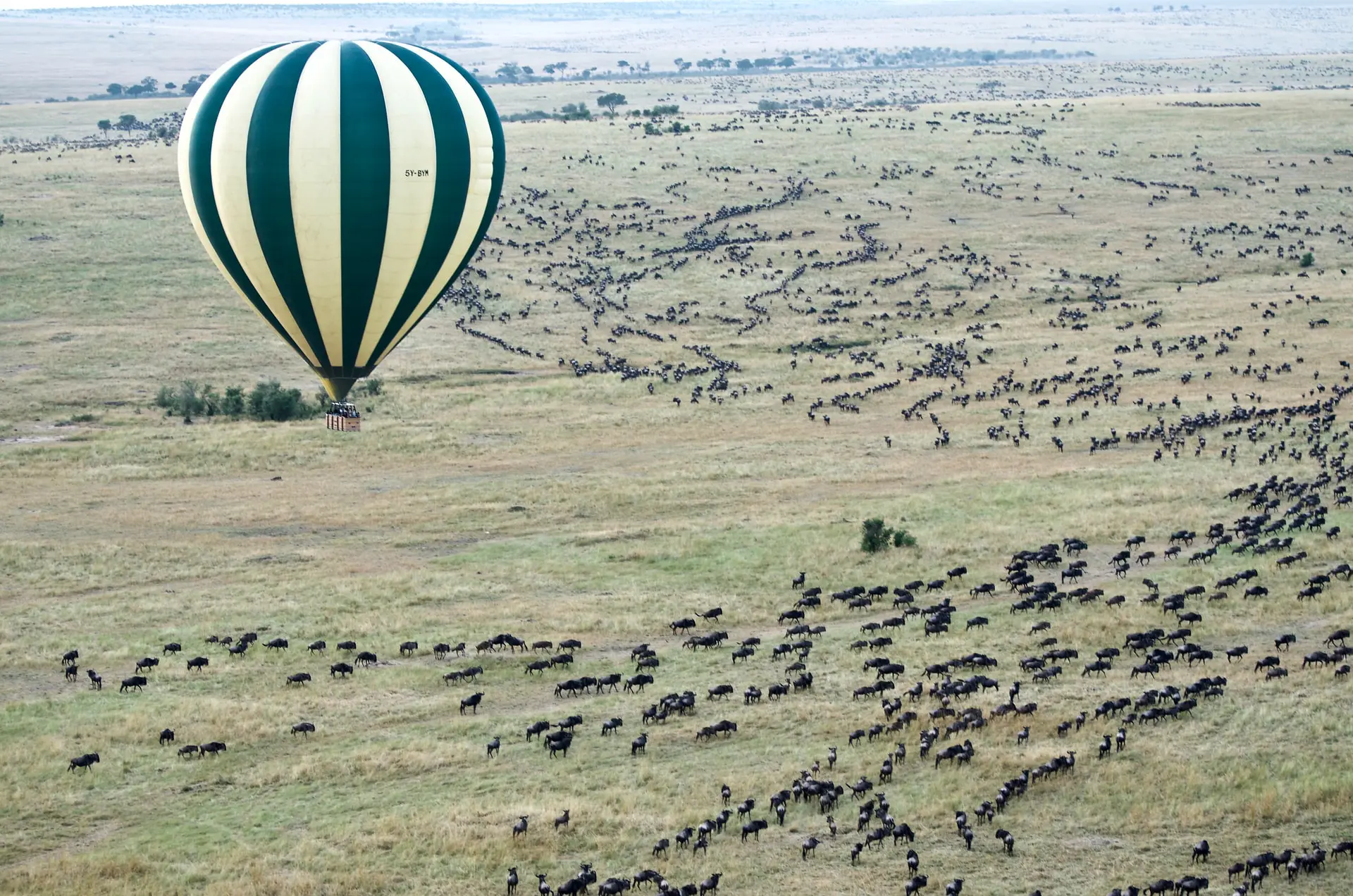 3 Days migration safari baloon-observe-great-migration