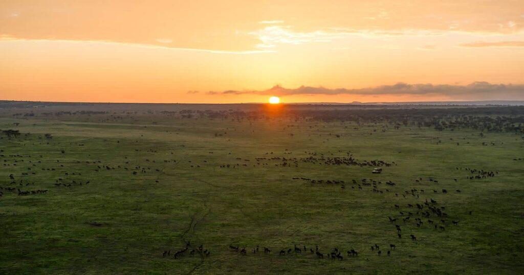 sun set from serengeti
