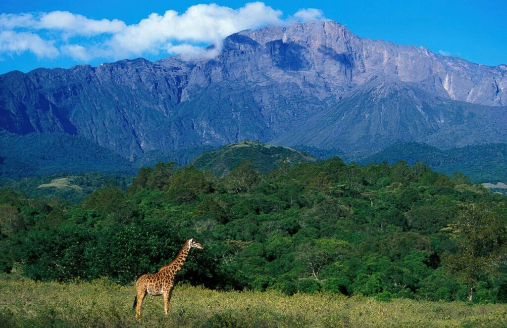 Mount Meru scenery
