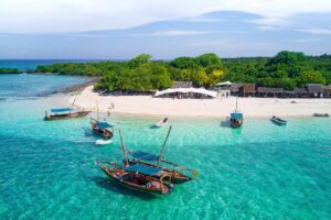 Zanzibar Marine Wonderland