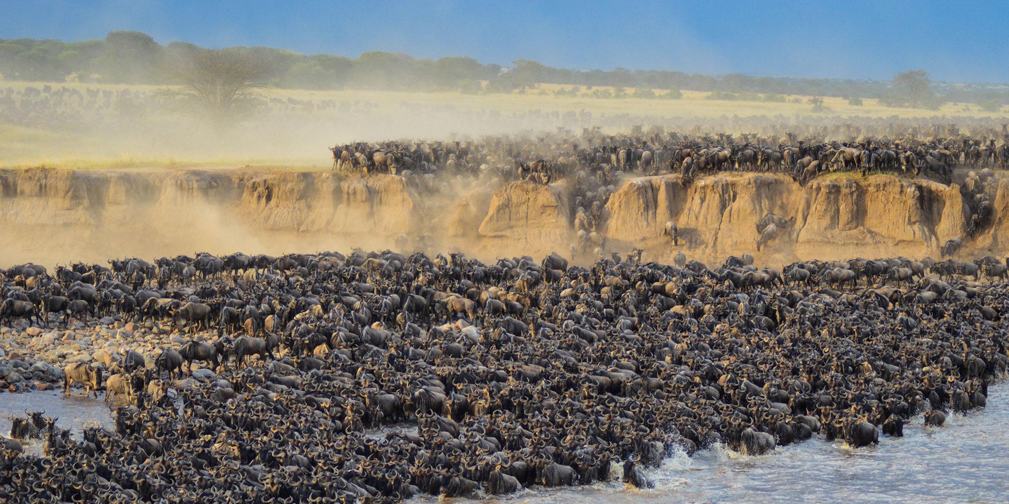 7-Day Great Migration Safari in Tanzania – Witness the Mara