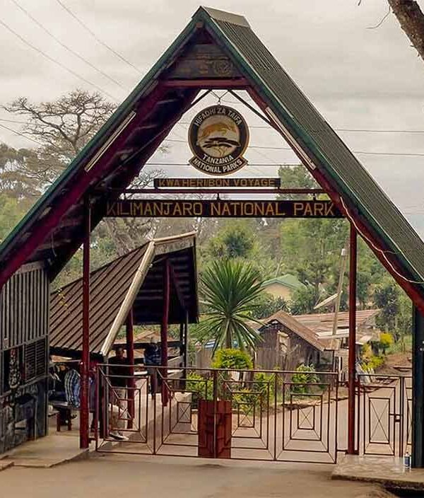 Gate of Kilimanjaro national Park climbing safari from serengeti wildlife safaris