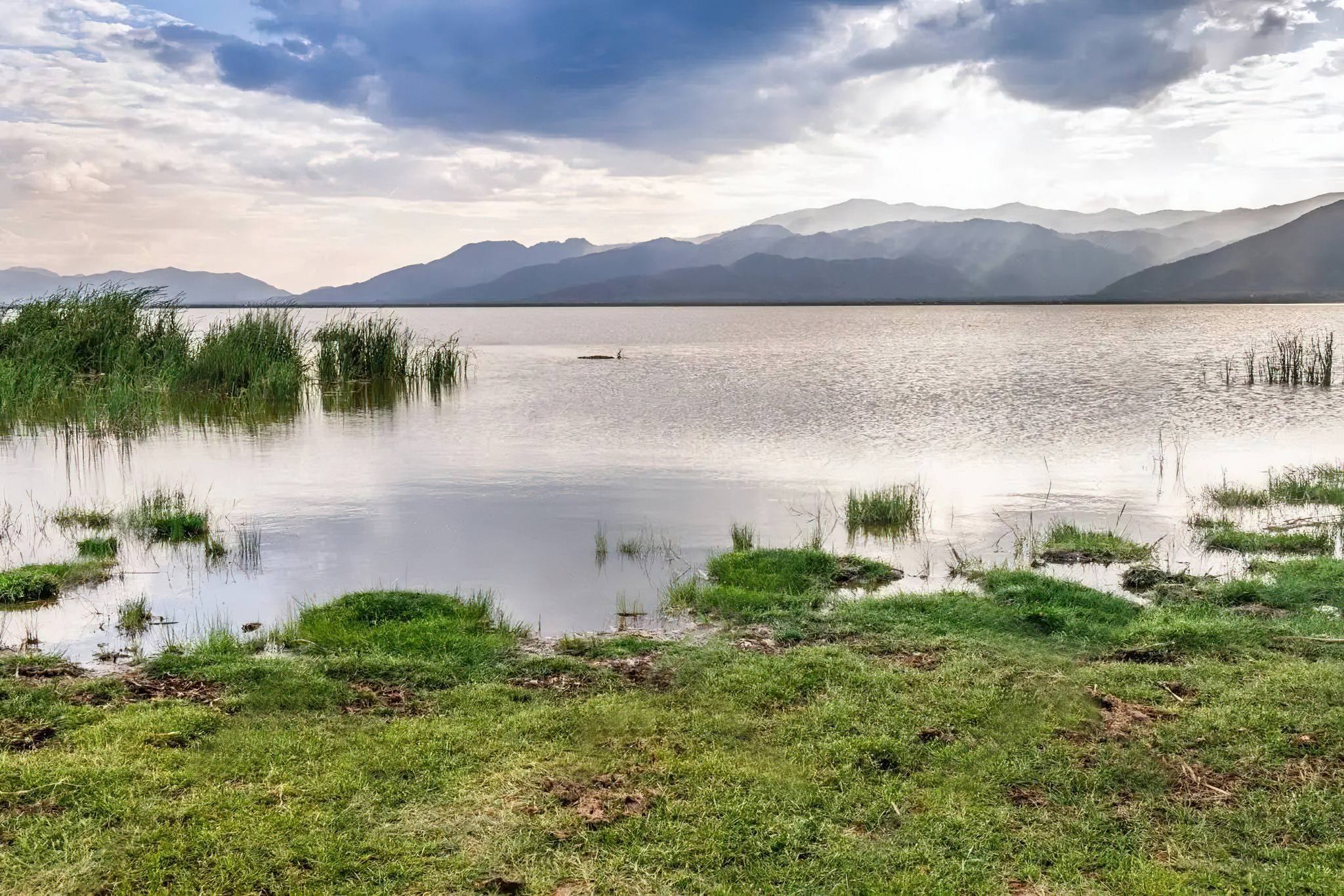 Lake Jipe Day Trip – A Tranquil Wildlife Escape Between Tanzania and Kenya