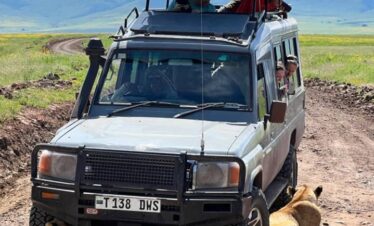 8-Day Tanzania Safari lion under the Cruiser Hardtop seeking for shadow from Serengeti plains