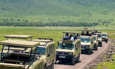 tourists of serengeti wildlife safaris from ngorongoro crater