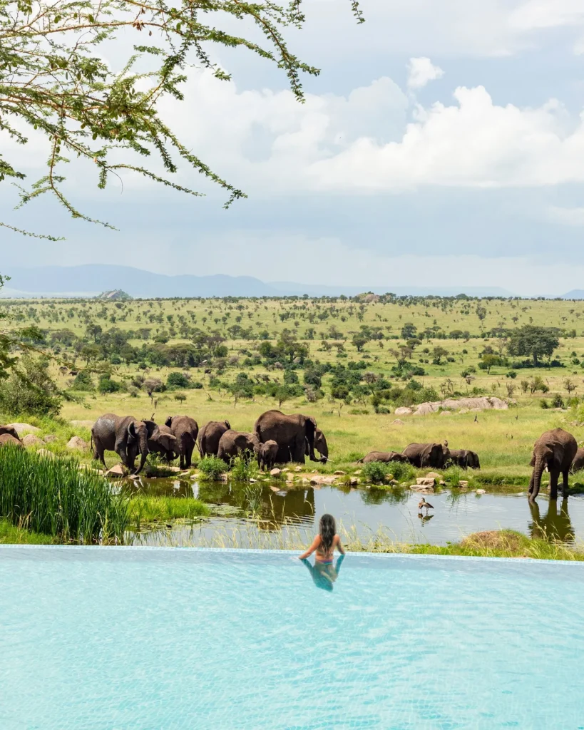 Women in Luxury Tanzania safari from serengeti melia