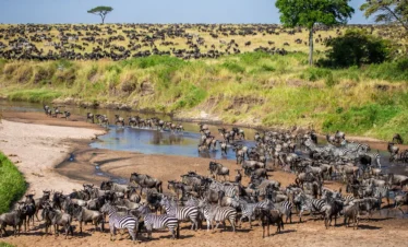 Great Migration