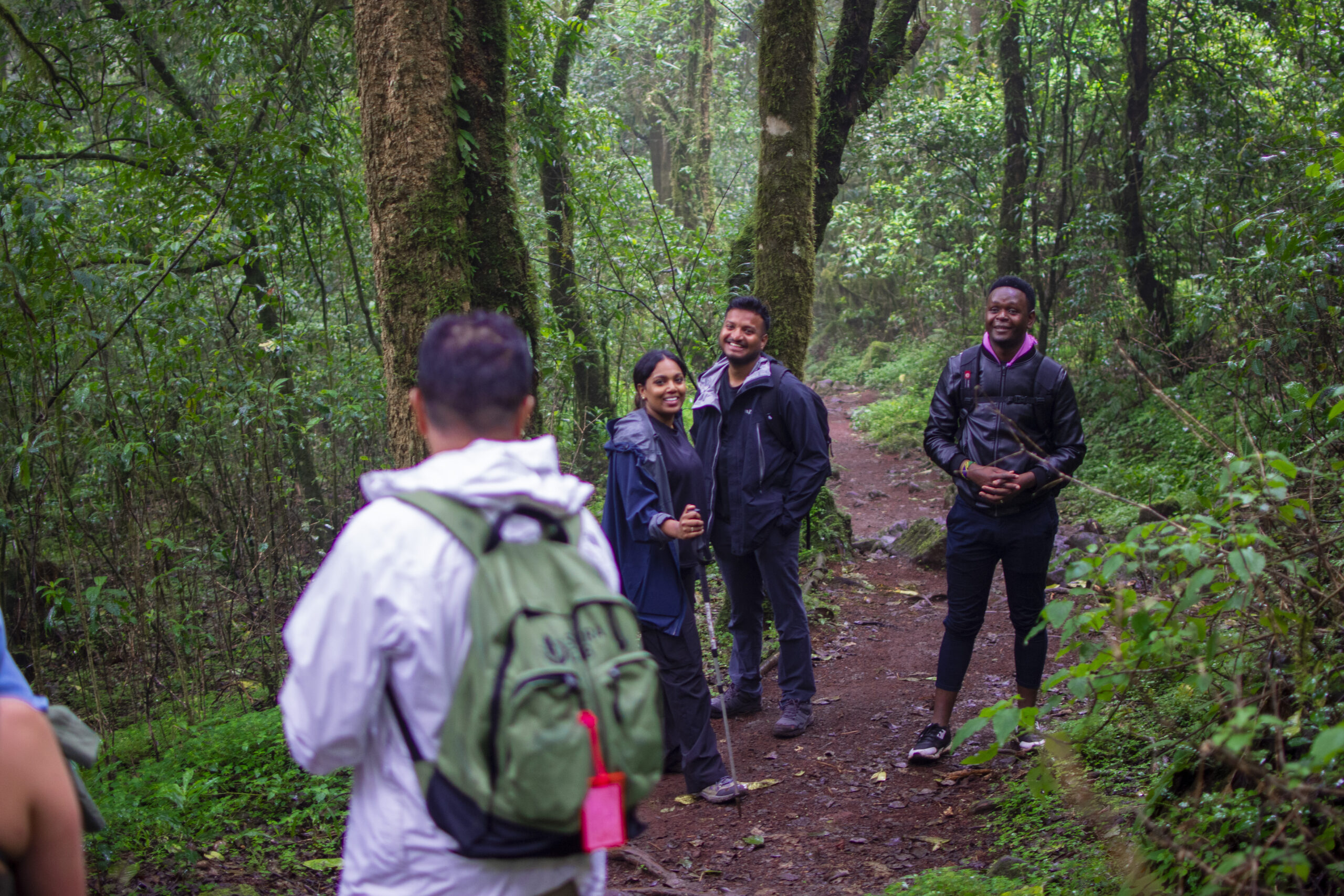 Lemosho Route Kilimanjaro