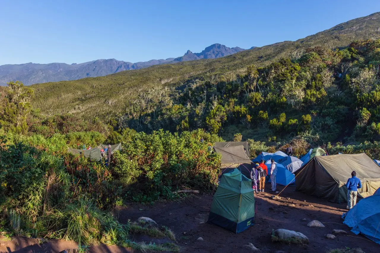 Tents at Machame Camp on Mount Kilimanjaro