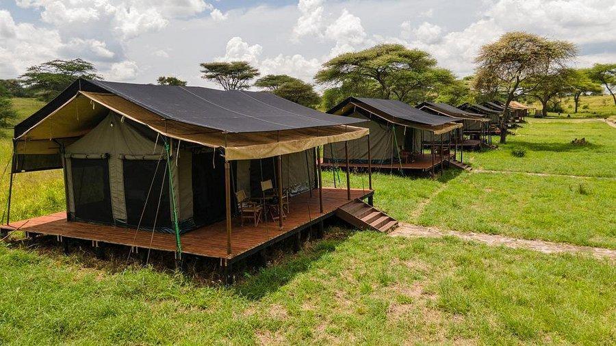 Great Migration Tanzania safari luxury
