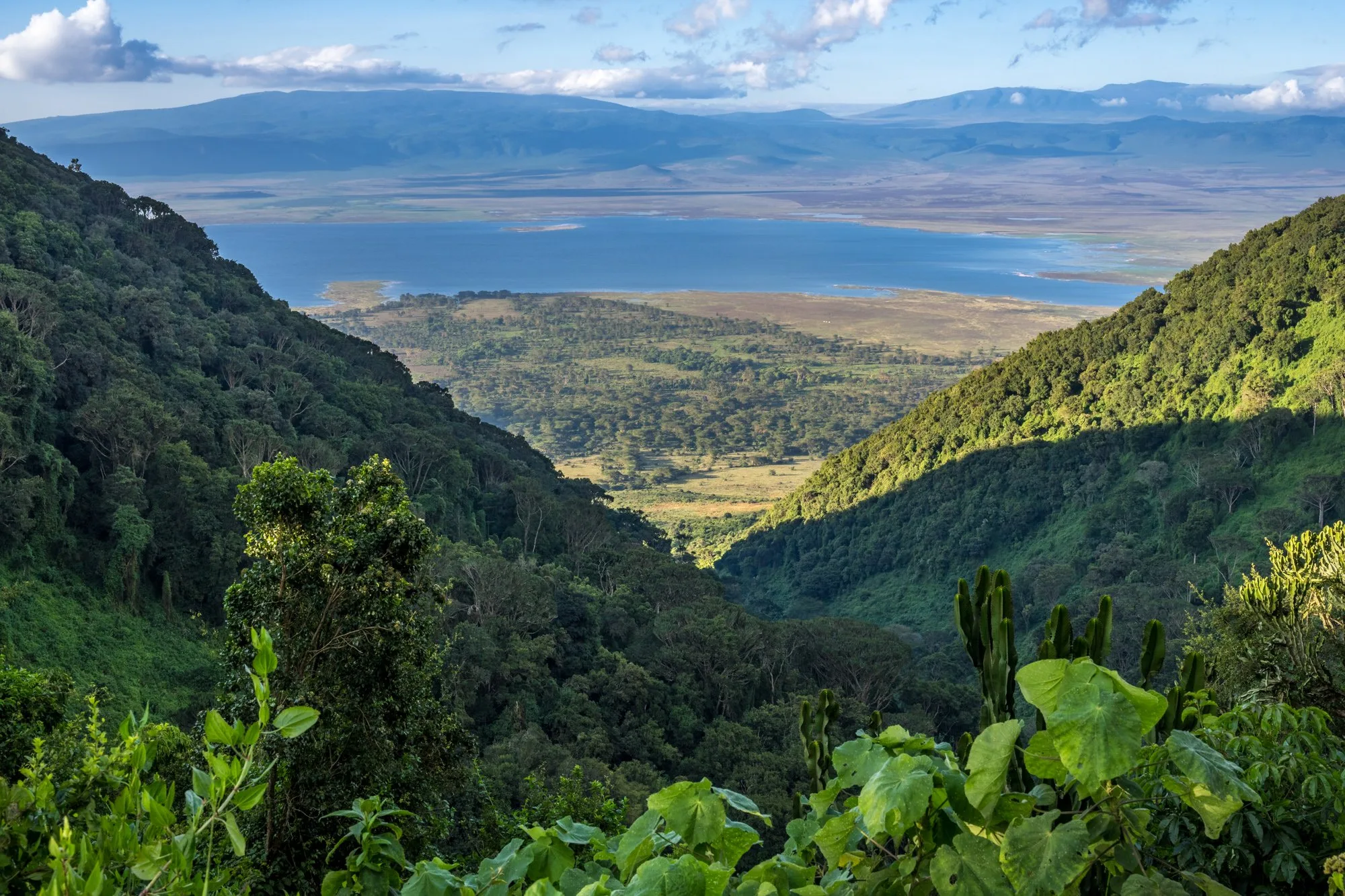 7 Day Migration Safari Landscape