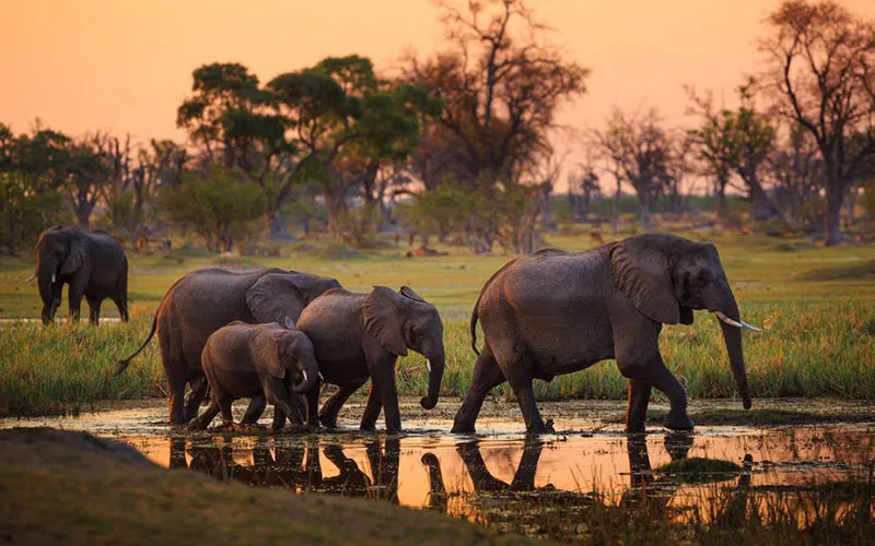 7-Day Best Budget Safari in Tanzania - Tarangire National Park