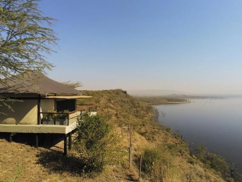 9-days-kenya-and-Tanzania-safari Lake Nakuru view