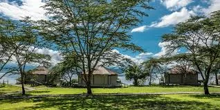 9-days-kenya-and-Tanzania-safari luxury tented camp at Lake Nakuru