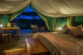 Tented Room