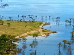 lake nakuru
