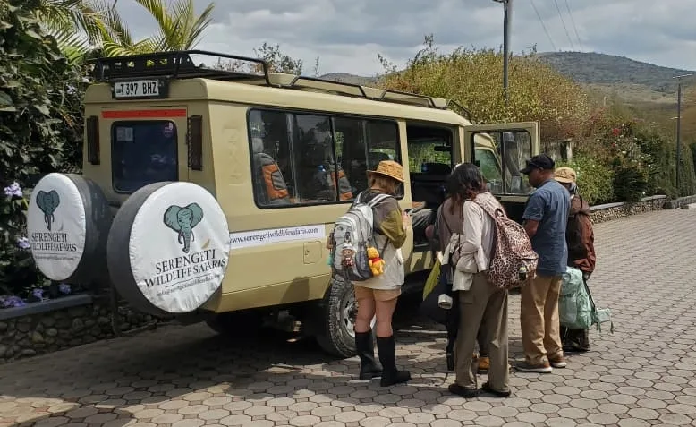 4 days honeymoon safari  Lion in the wild