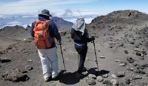 4 days honeymoon safari Giraffes at sunset