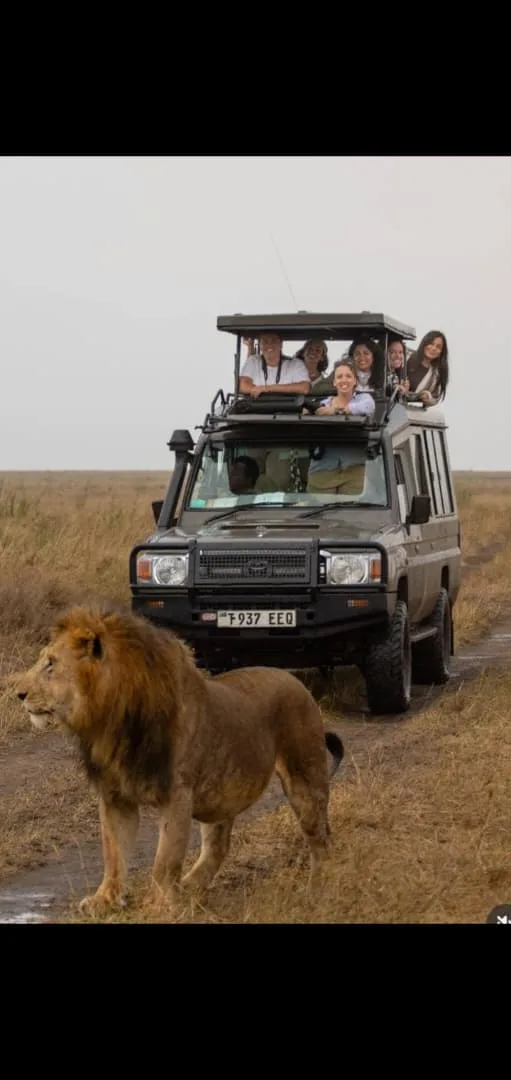 Wildebeest Migration